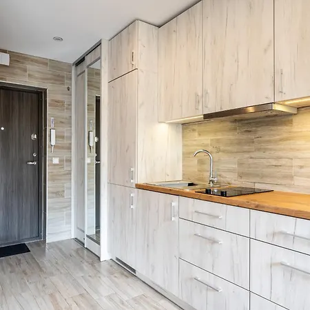 Park'S Edge Apartment Kaunas Exterior photo